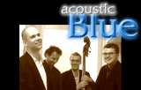 acousticbluestart_r1_c1.png